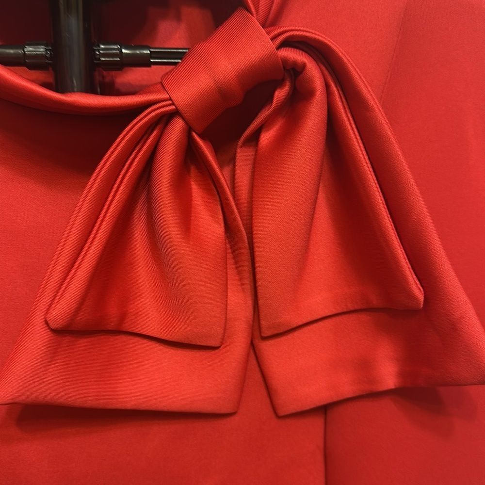 Red Dress - Picture 2 of 5